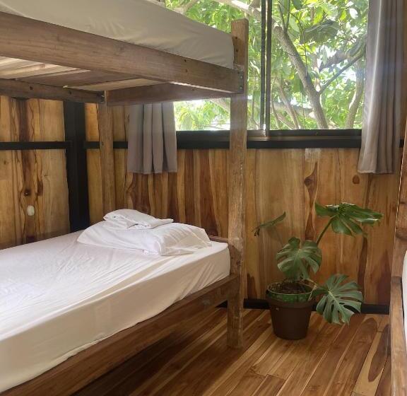 ペンション El Gato Rojas Surf Hostel