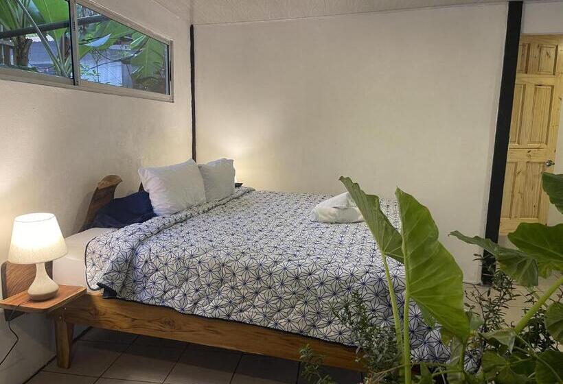 פנסיון El Gato Rojas Surf Hostel