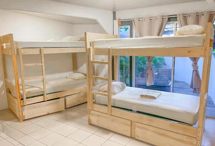 ペンション El Gato Rojas Surf Hostel