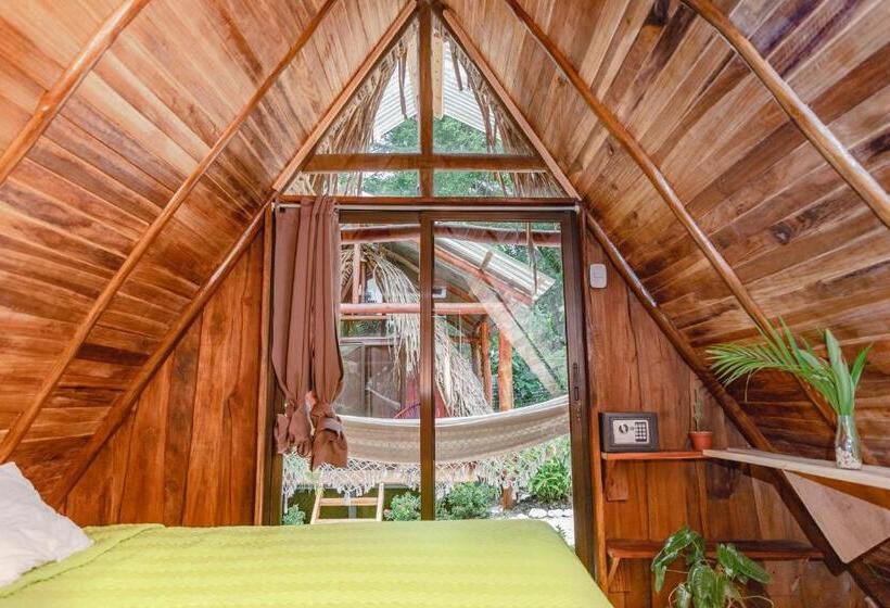 פנסיון El Gato Rojas Surf Hostel