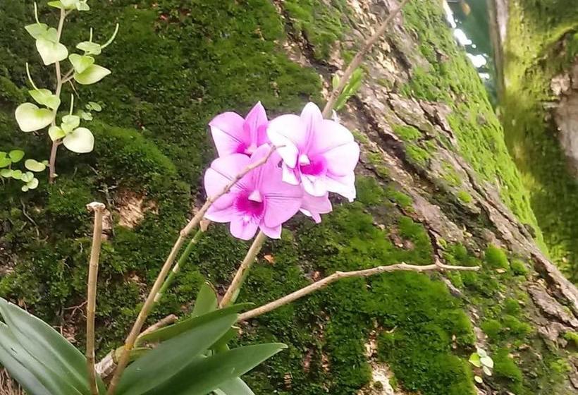 膳宿费 A Pousada Da Praia