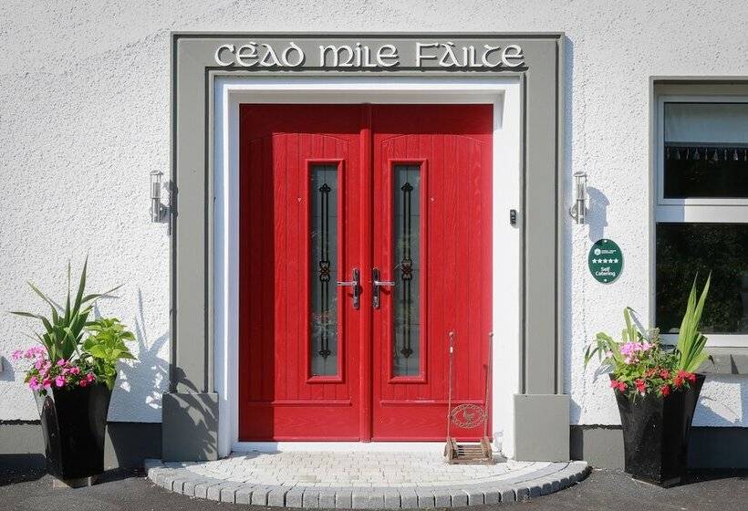 بنسيون Willow House Bed & Breakfast And Orchard Studios Self Catering