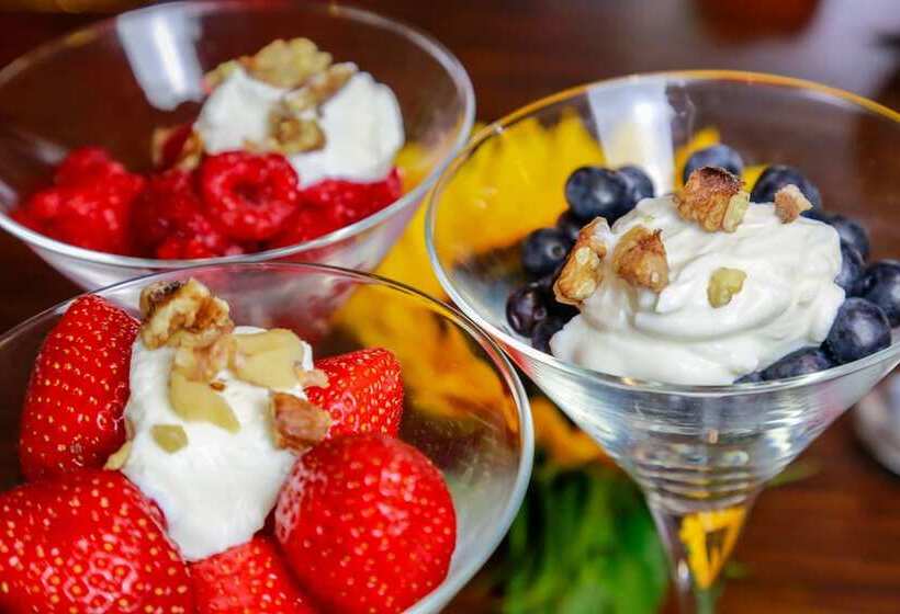 بنسيون Willow House Bed & Breakfast And Orchard Studios Self Catering