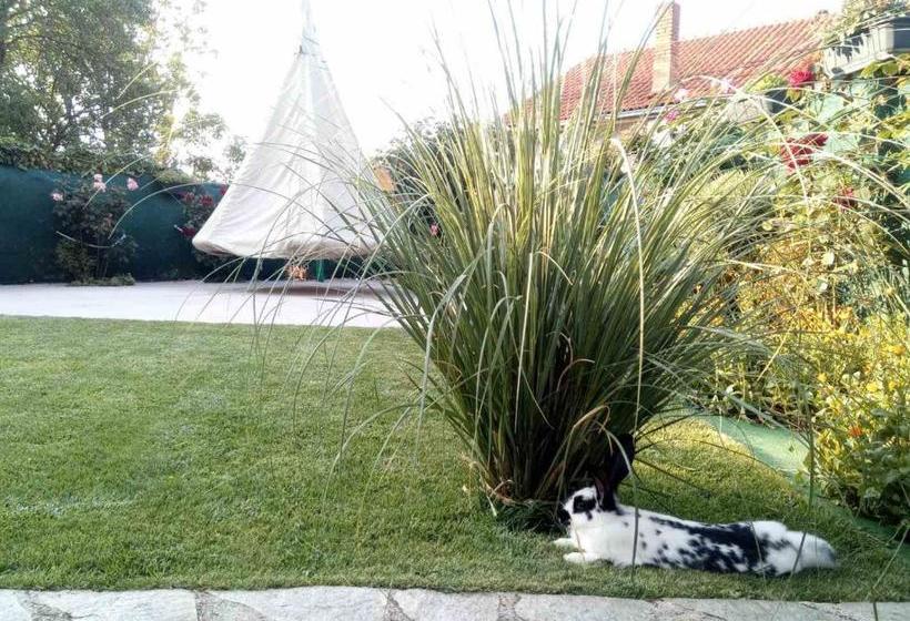 پانسیون Yard House Trpejca