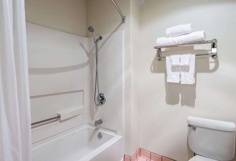 فندق Best Western Capital City Inn