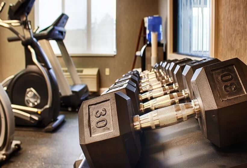 ホテル Best Western Elkhart Inn & Suites