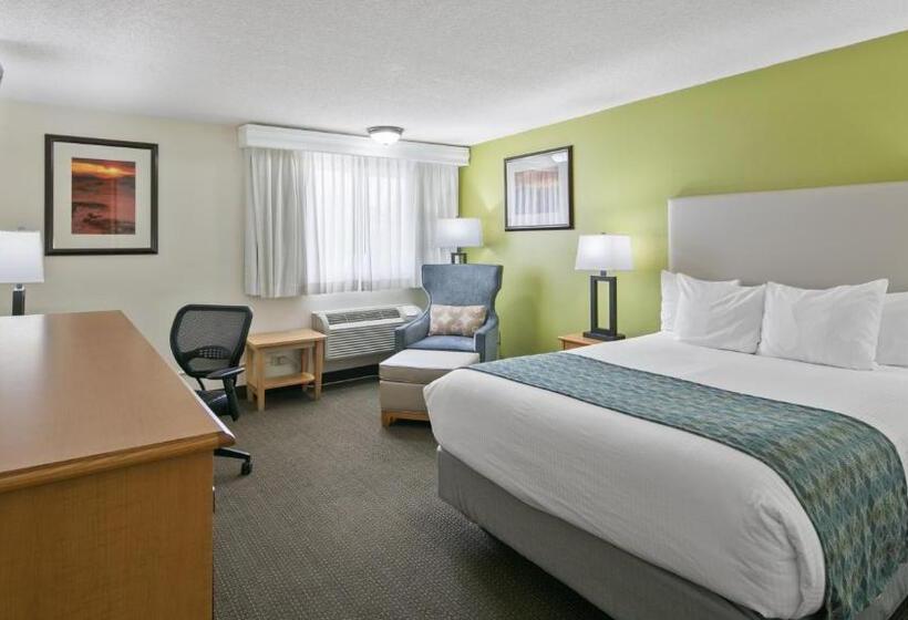 فندق Best Western Hidesert Inn