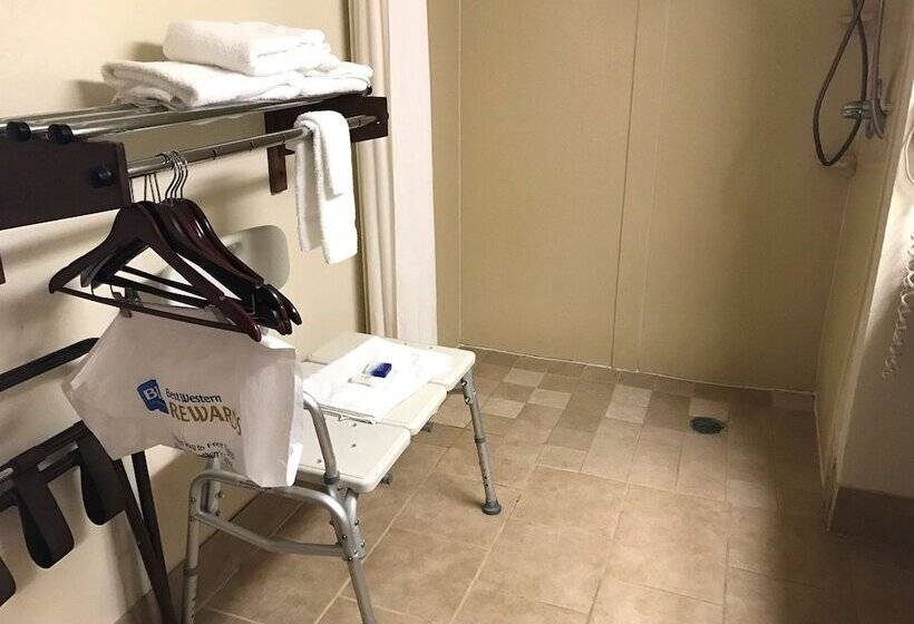 ホテル Best Western Inn & Suites