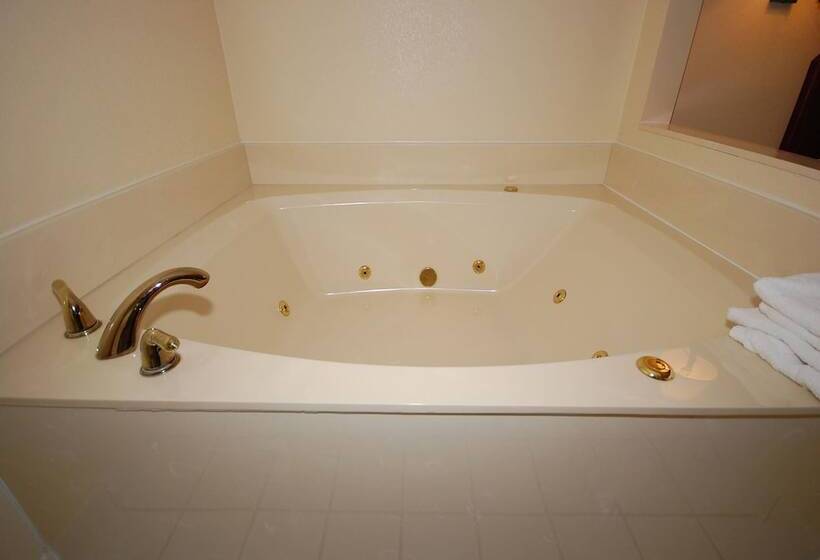 ホテル Best Western Inn & Suites