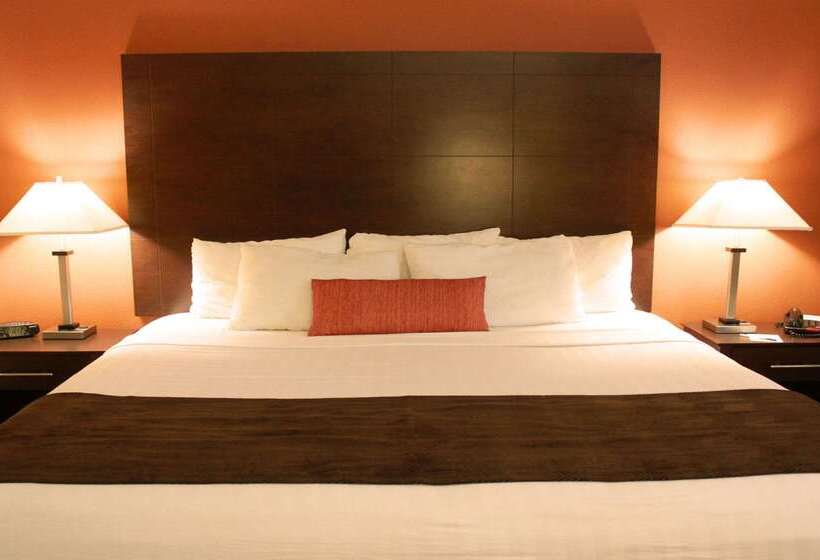 فندق Best Western Inn & Suites