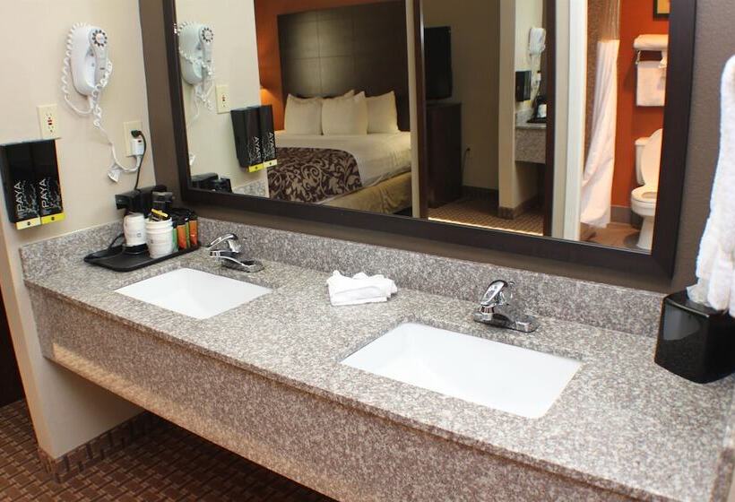 فندق Best Western Inn & Suites