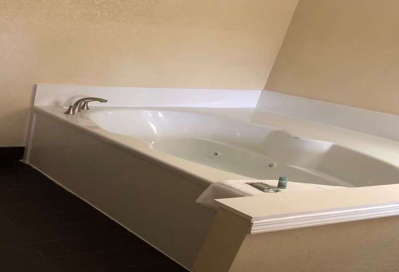 هتل Best Western Inn & Suites Of Macon