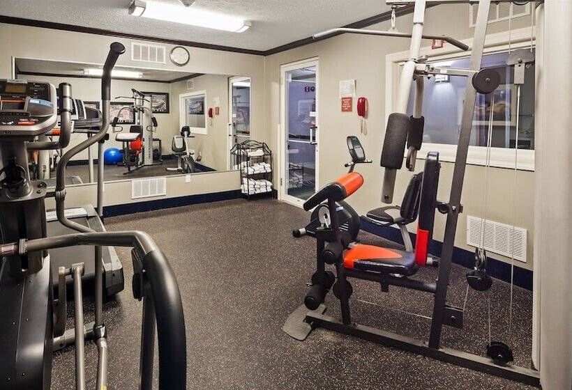 فندق Best Western Inn