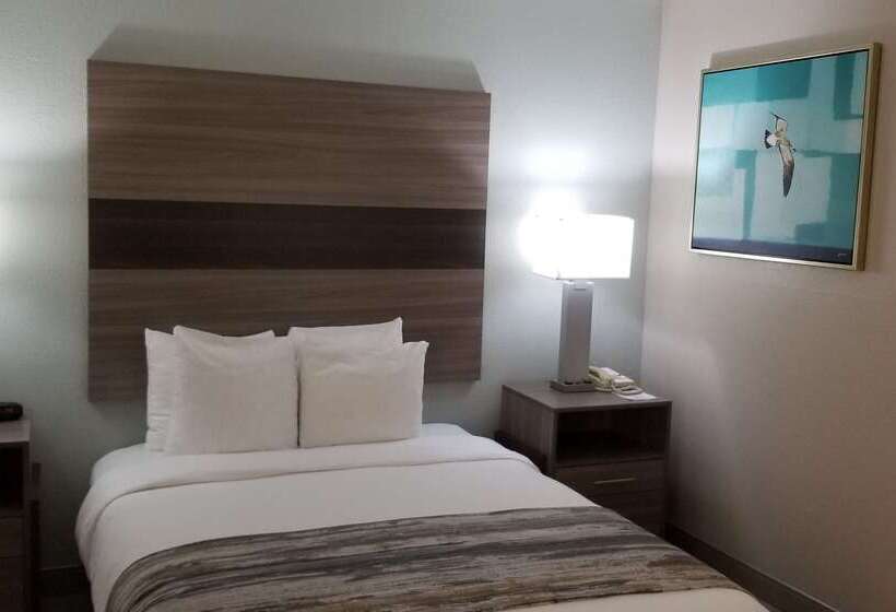 فندق Best Western Intracoastal Inn
