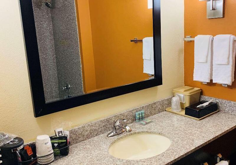 فندق Best Western Kenosha Inn