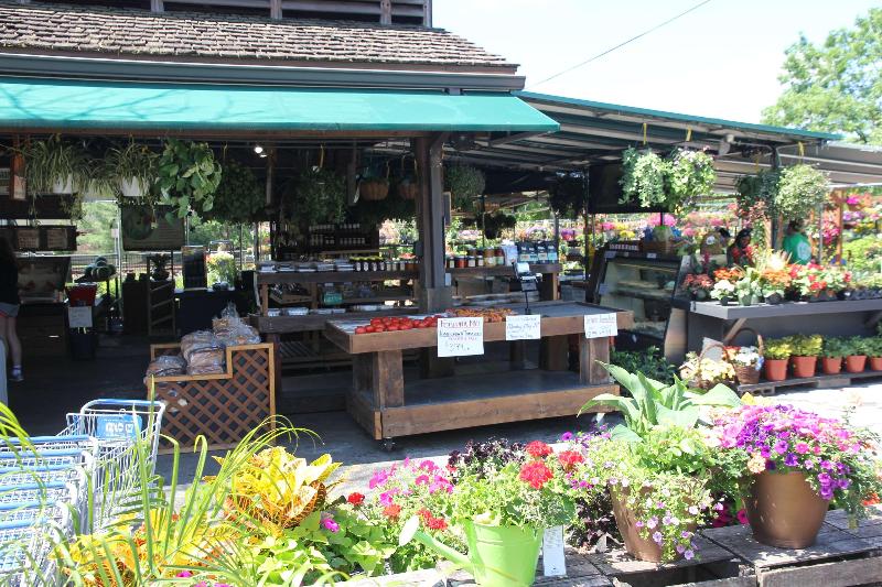 فندق Best Western St Louis Kirkwood Route 66