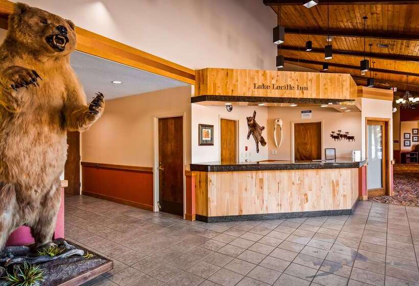 فندق Best Western Lake Lucille Inn