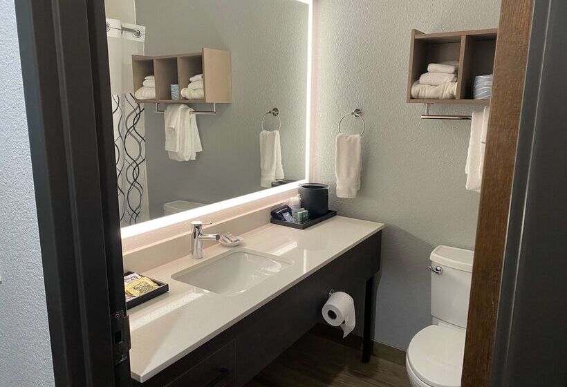 فندق Best Western Lake Lucille Inn