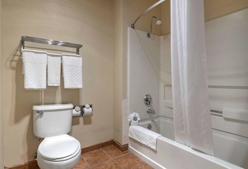 酒店 Best Western Luxury Inn