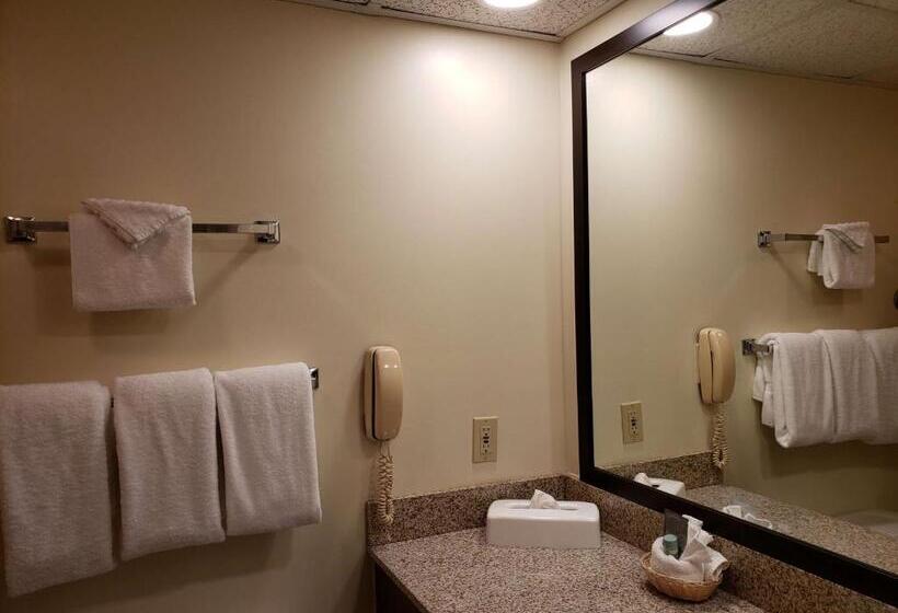 酒店 Best Western Merry Manor Inn