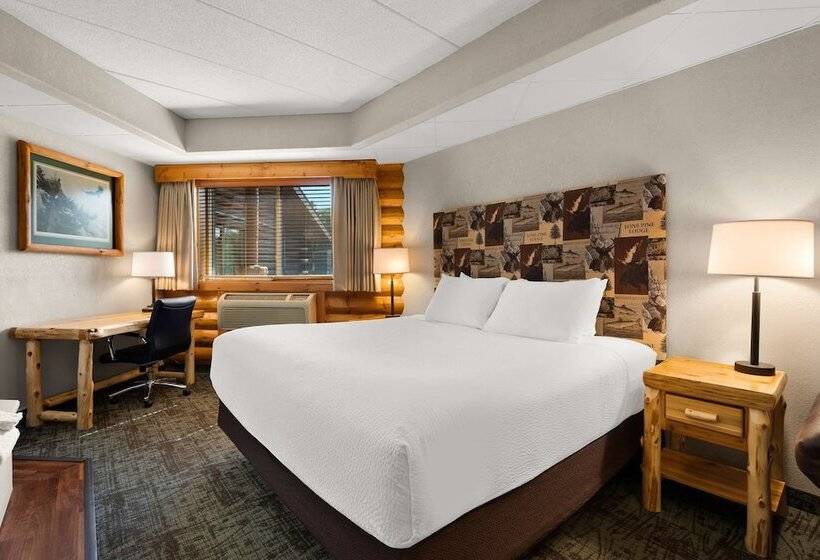 فندق Best Western Northwoods Lodge