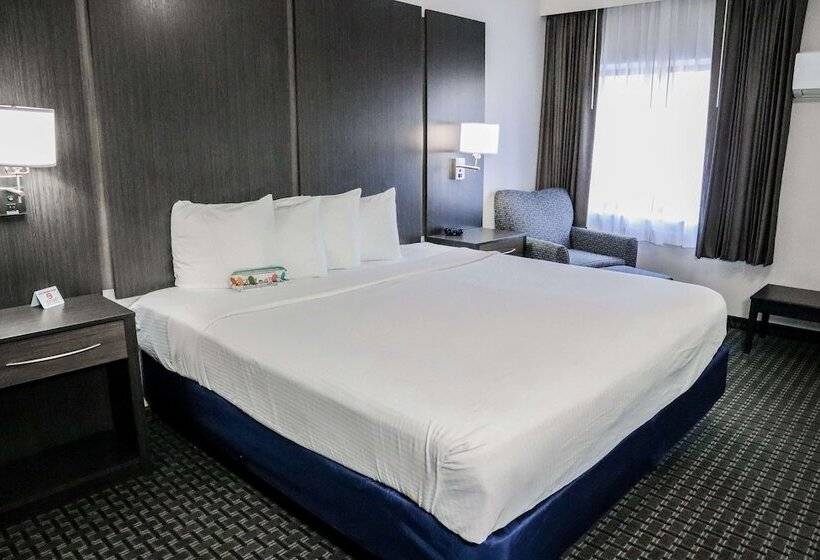 فندق Best Western Ocala Park Centre