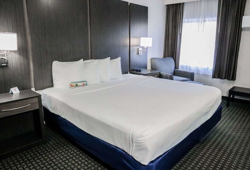 فندق Best Western Ocala Park Centre