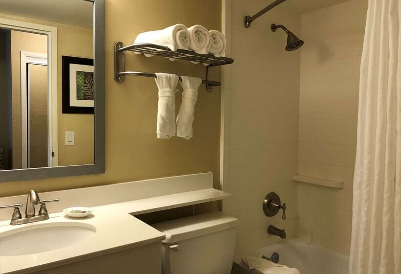 בית מלון כפרי Palm Tree Club Miami