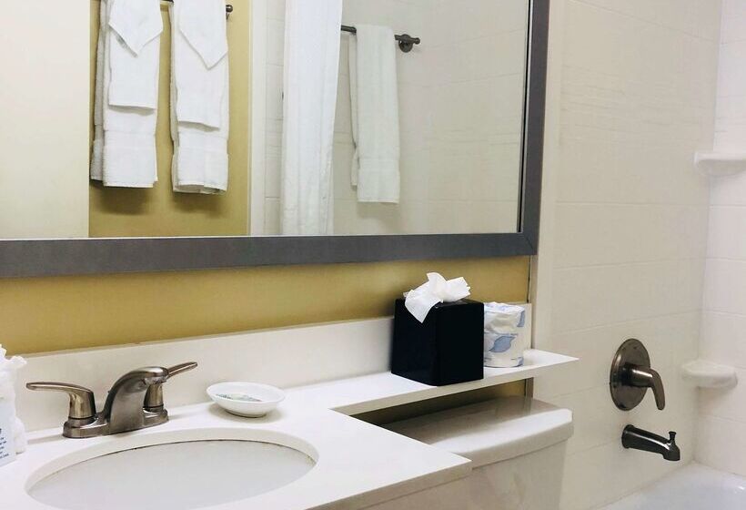 בית מלון כפרי Palm Tree Club Miami