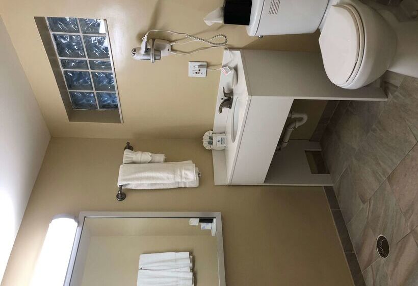 בית מלון כפרי Palm Tree Club Miami