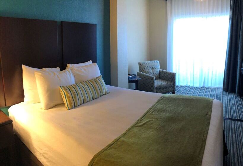 בית מלון כפרי Palm Tree Club Miami