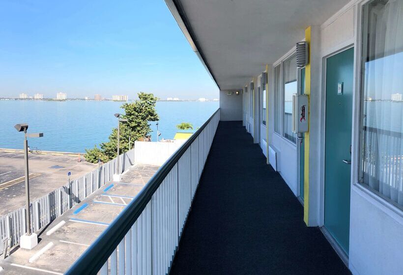 בית מלון כפרי Palm Tree Club Miami