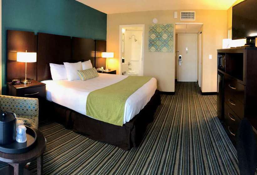 בית מלון כפרי Palm Tree Club Miami