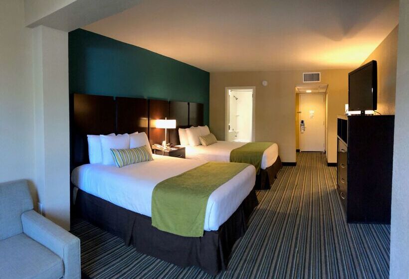 בית מלון כפרי Palm Tree Club Miami