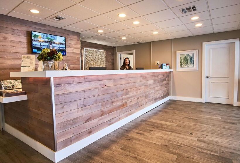 בית מלון כפרי Palm Tree Club Miami