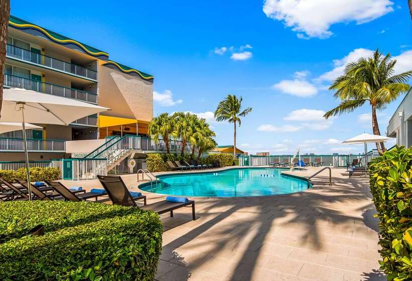 בית מלון כפרי Palm Tree Club Miami