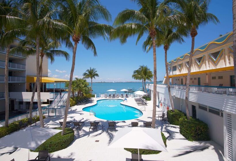 בית מלון כפרי Palm Tree Club Miami