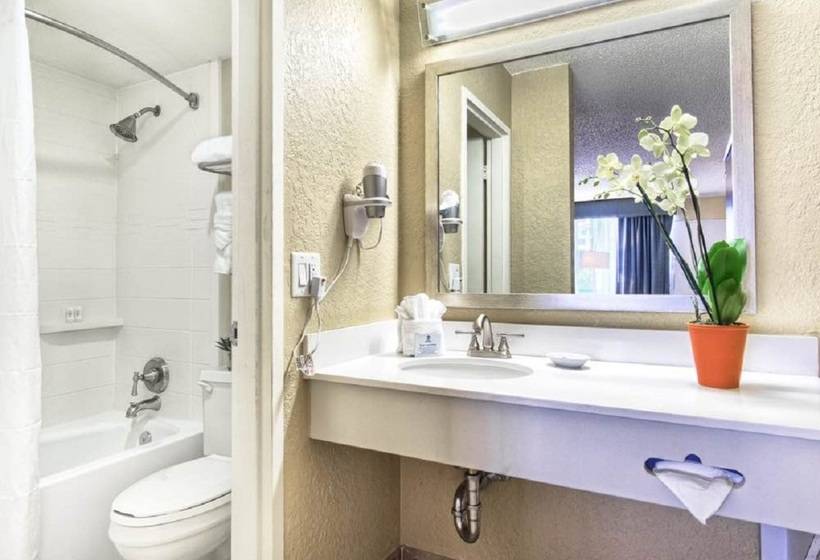 בית מלון כפרי Palm Tree Club Miami