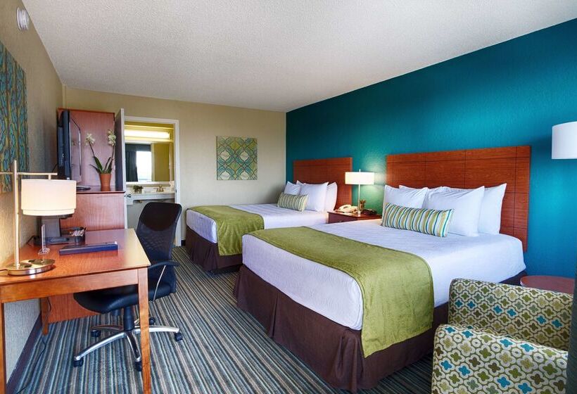 בית מלון כפרי Palm Tree Club Miami