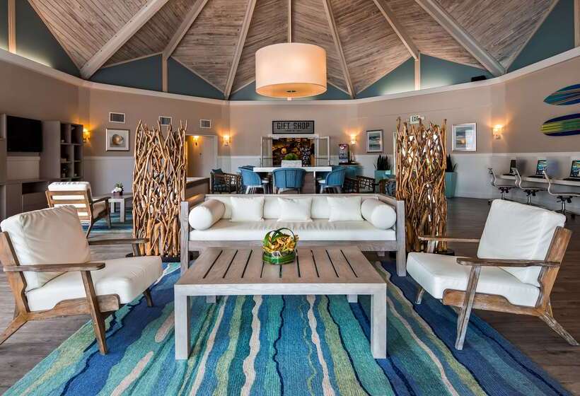 בית מלון כפרי Palm Tree Club Miami