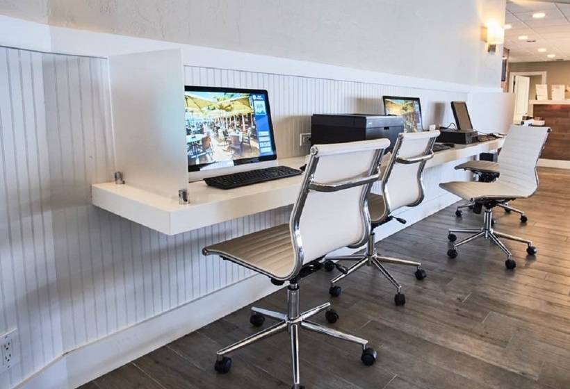 בית מלון כפרי Palm Tree Club Miami