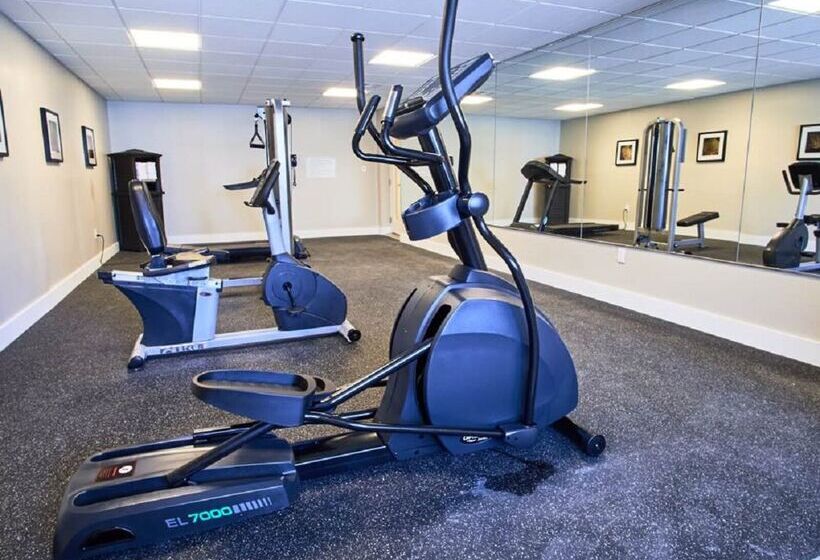 בית מלון כפרי Palm Tree Club Miami