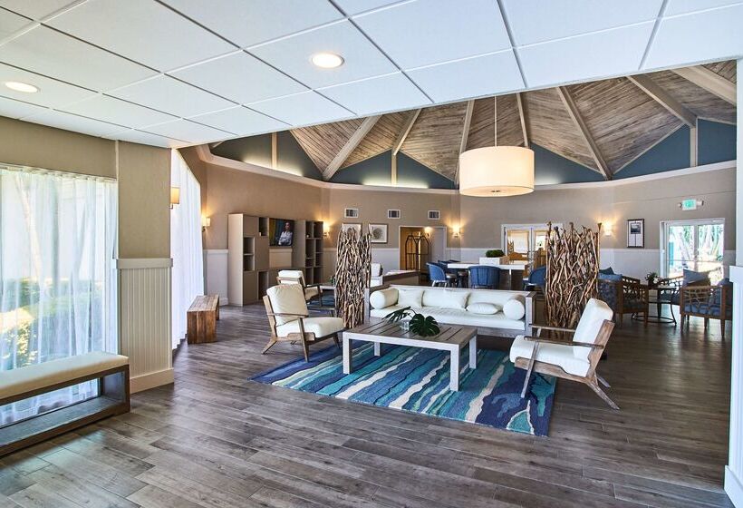 בית מלון כפרי Palm Tree Club Miami