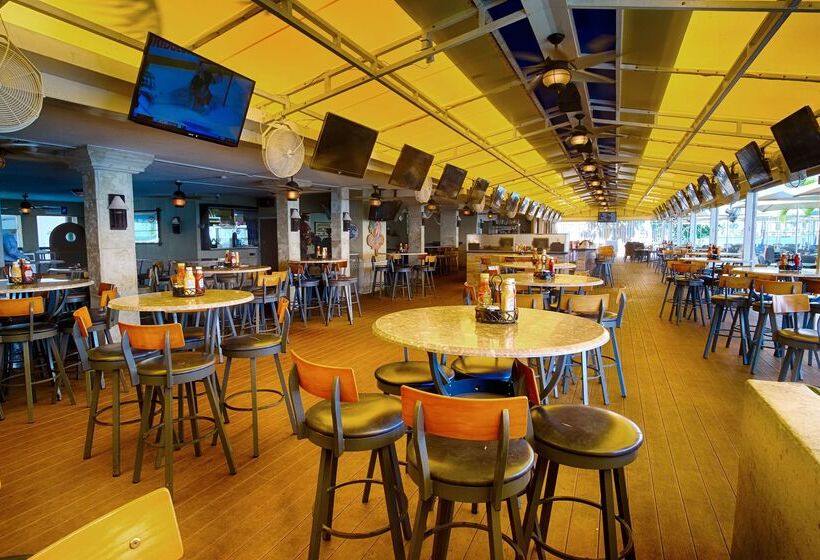 בית מלון כפרי Palm Tree Club Miami