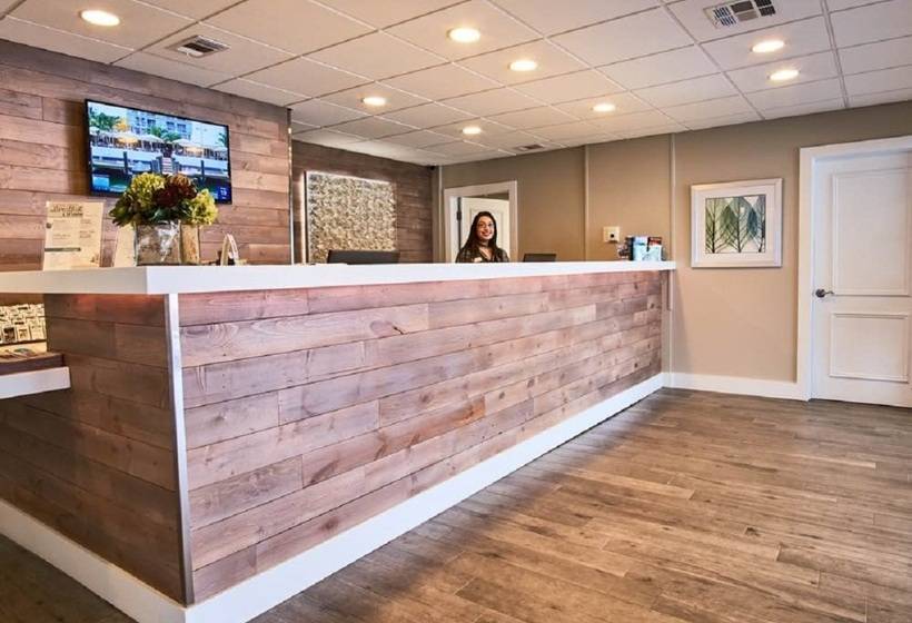 בית מלון כפרי Palm Tree Club Miami