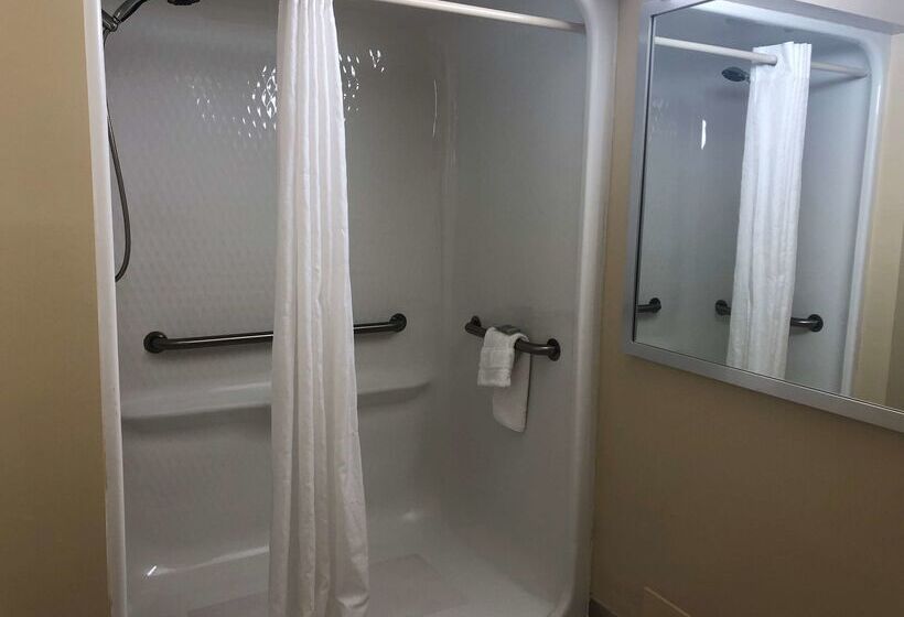 בית מלון כפרי Palm Tree Club Miami