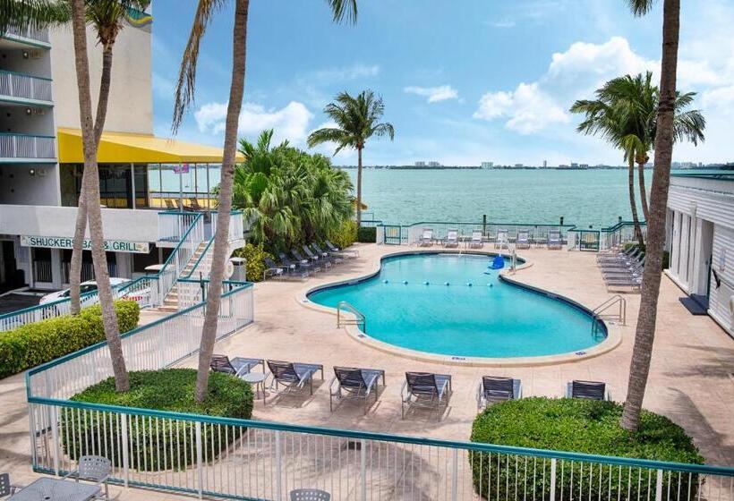 בית מלון כפרי Palm Tree Club Miami