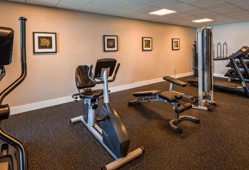 בית מלון כפרי Palm Tree Club Miami