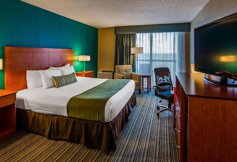 בית מלון כפרי Palm Tree Club Miami