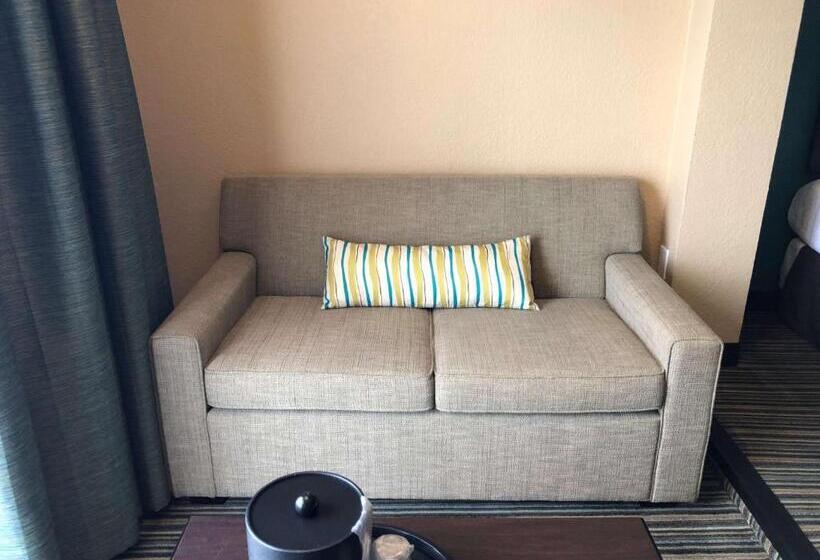 בית מלון כפרי Palm Tree Club Miami